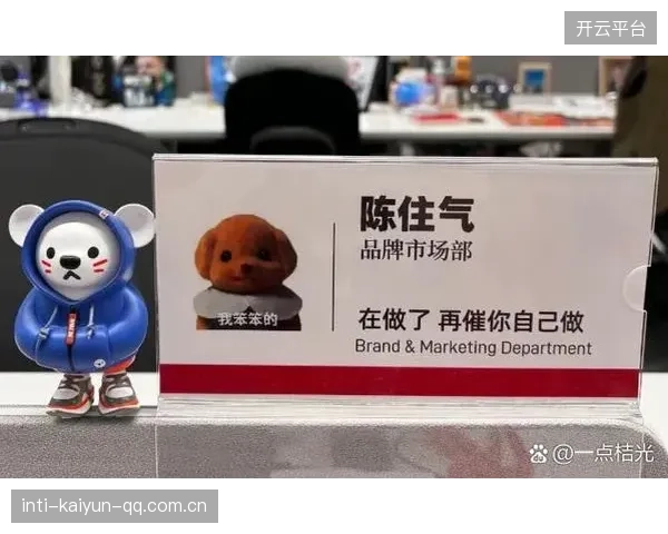代彦龙强硬程度超张陈——从“硬气”到“硬功”，如何让你的商业决策更“张陈级”